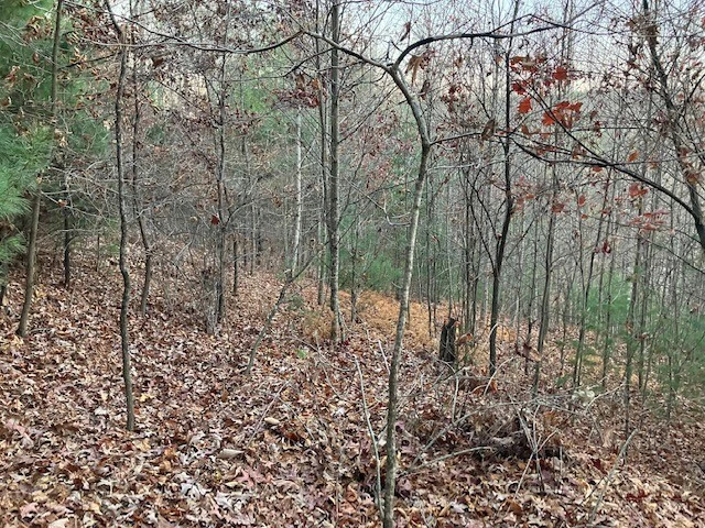 Image number 3 for the current listing