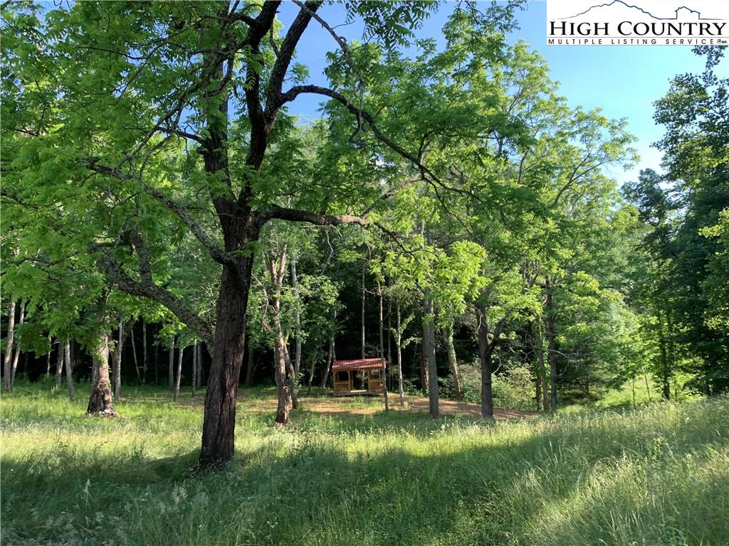 Image number 1 for the current listing