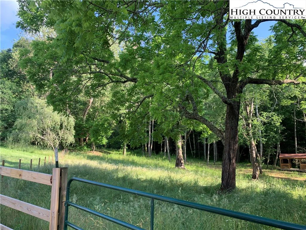 Image number 3 for the current listing