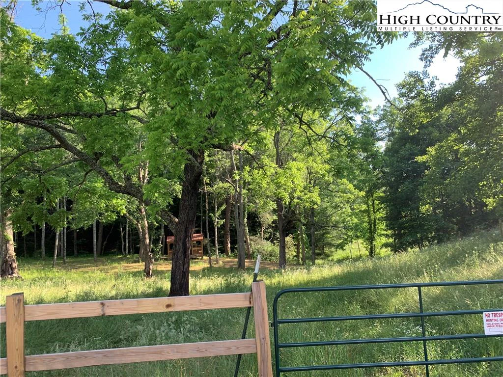 Image number 5 for the current listing