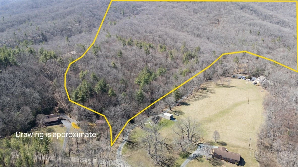 Image number 1 for the current listing