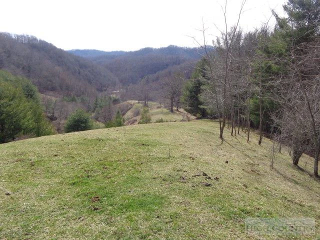 Image number 1 for the current listing