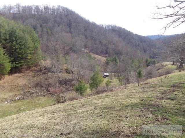 Image number 11 for the current listing