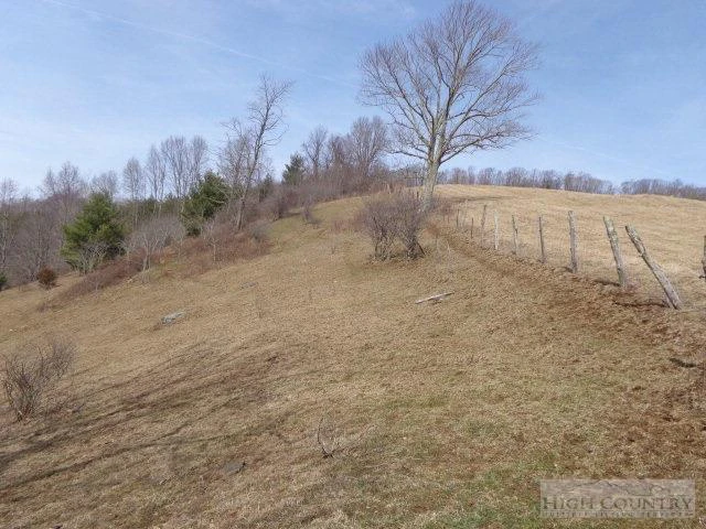 Image number 3 for the current listing