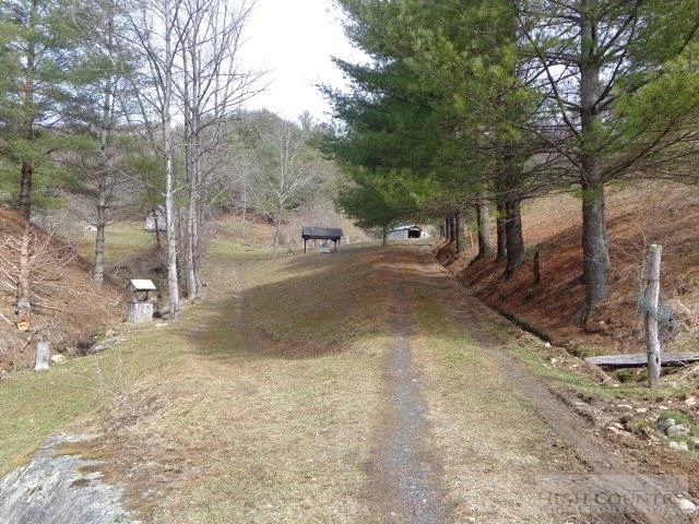 Image number 18 for the current listing