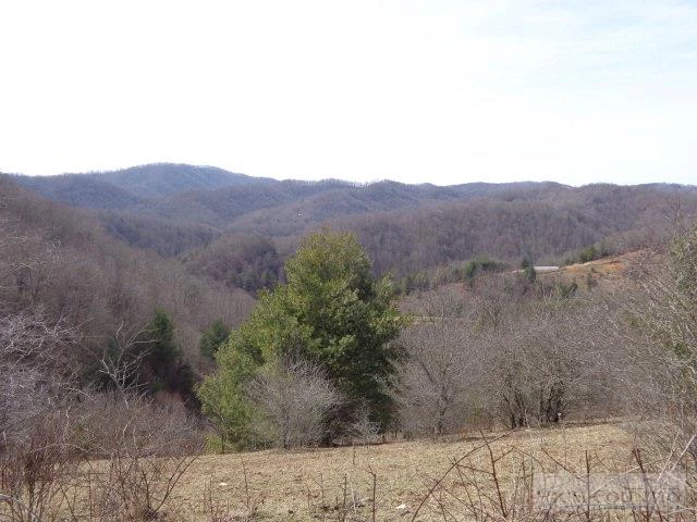 Image number 16 for the current listing