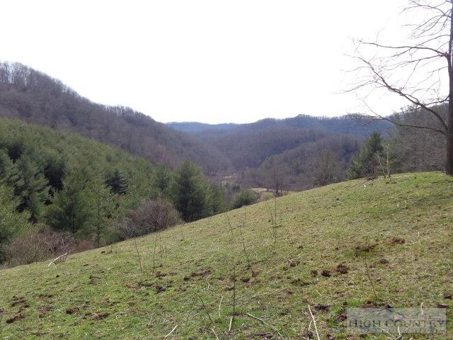 Image number 15 for the current listing