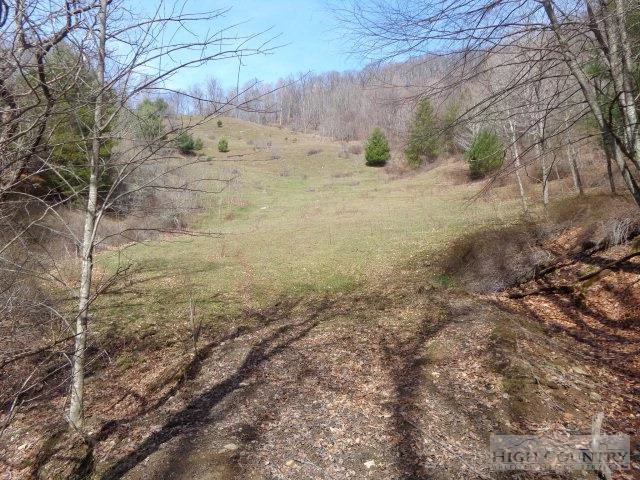 Image number 12 for the current listing