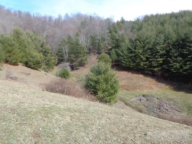 Image number 2 for the current listing