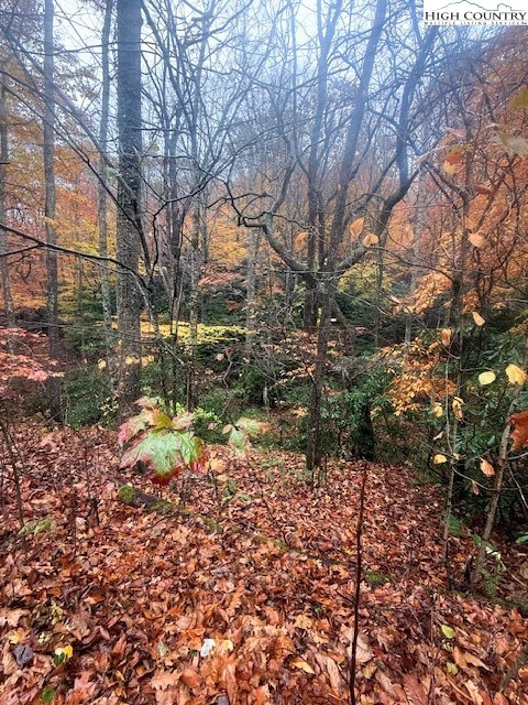 Image number 7 for the current listing
