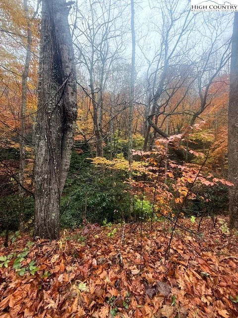 Image number 18 for the current listing