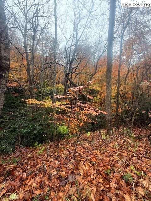 Image number 12 for the current listing