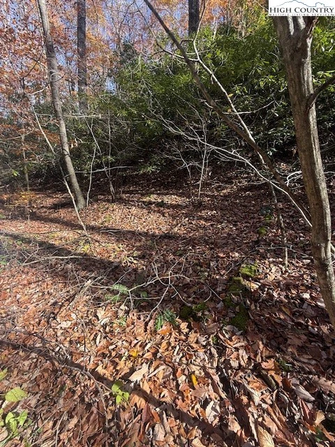 Image number 1 for the current listing