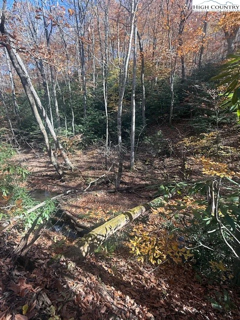 Image number 10 for the current listing