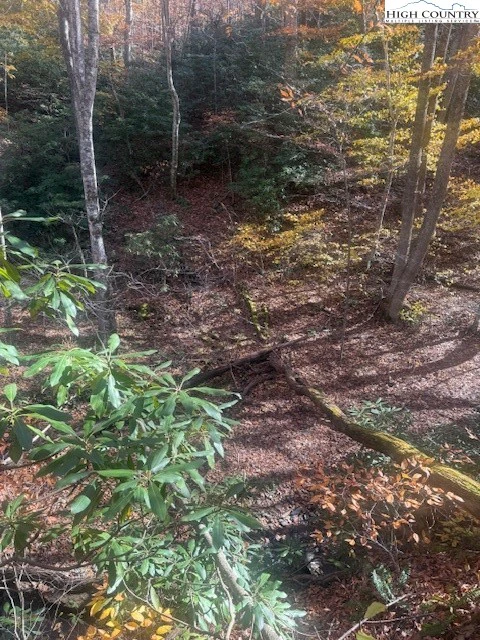 Image number 9 for the current listing