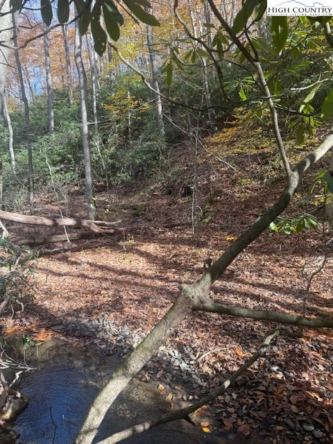 Image number 3 for the current listing