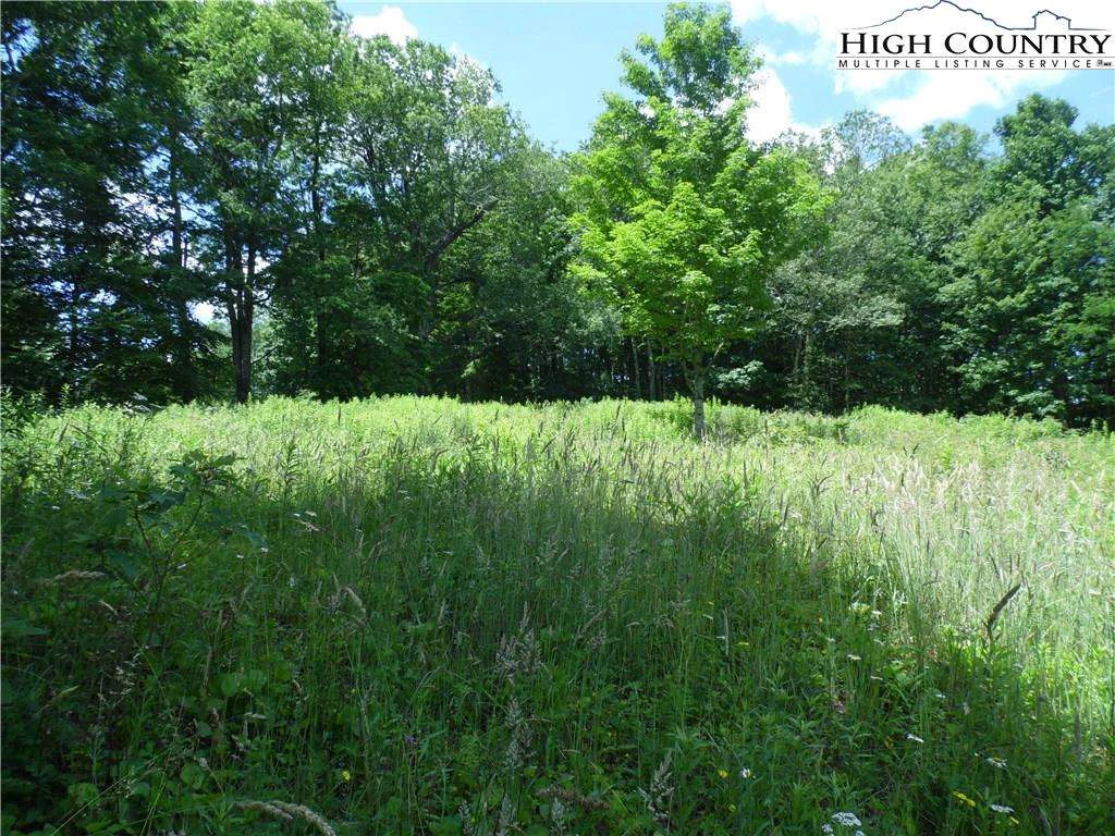 Image number 1 for the current listing