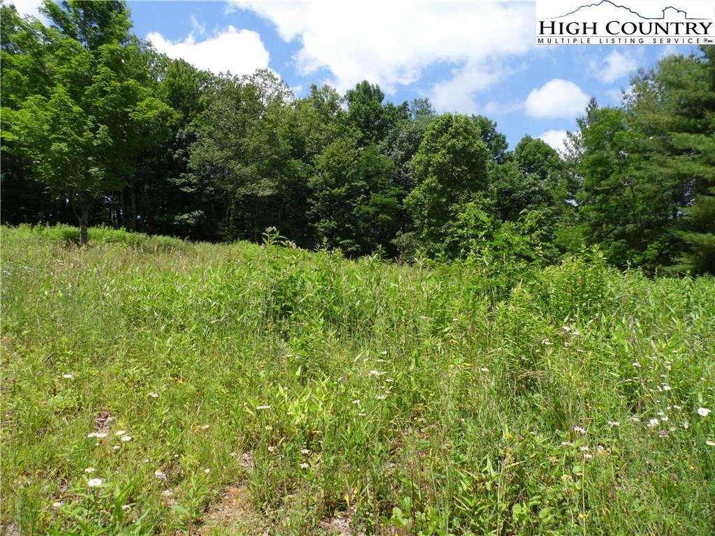 Image number 3 for the current listing