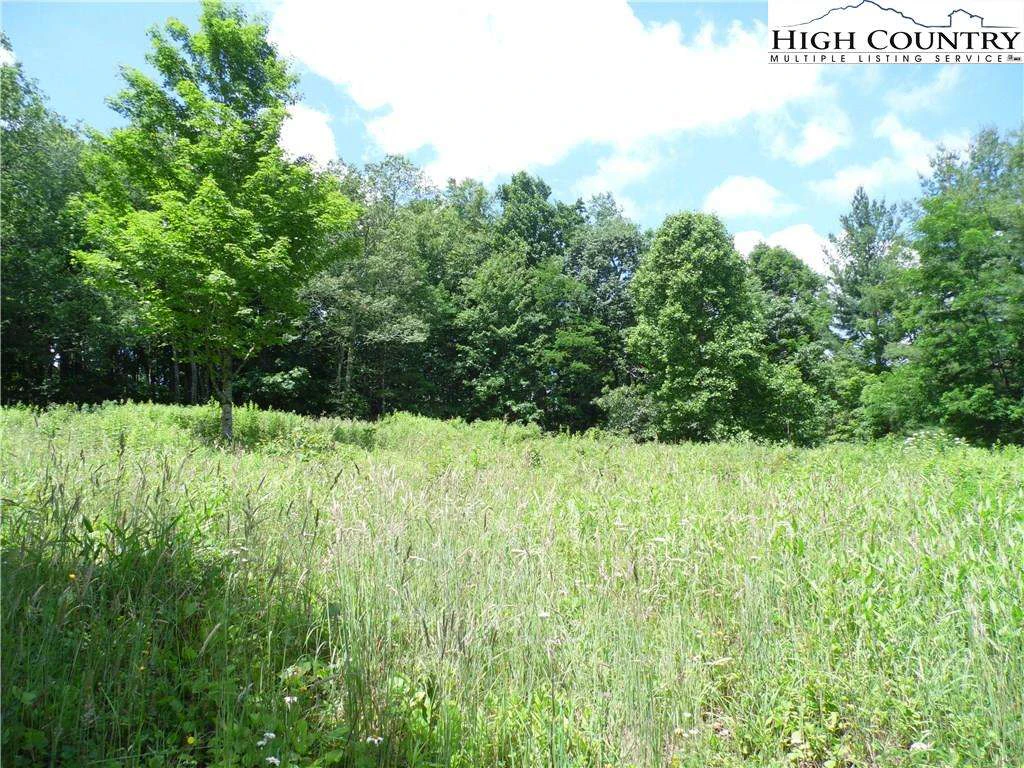 Image number 4 for the current listing