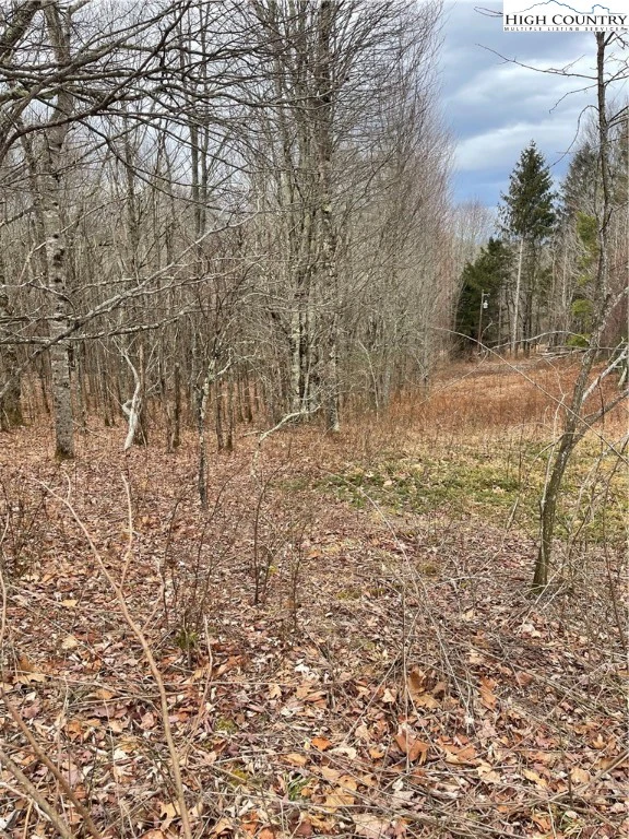 Image number 1 for the current listing