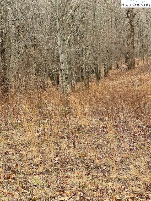 Image number 8 for the current listing