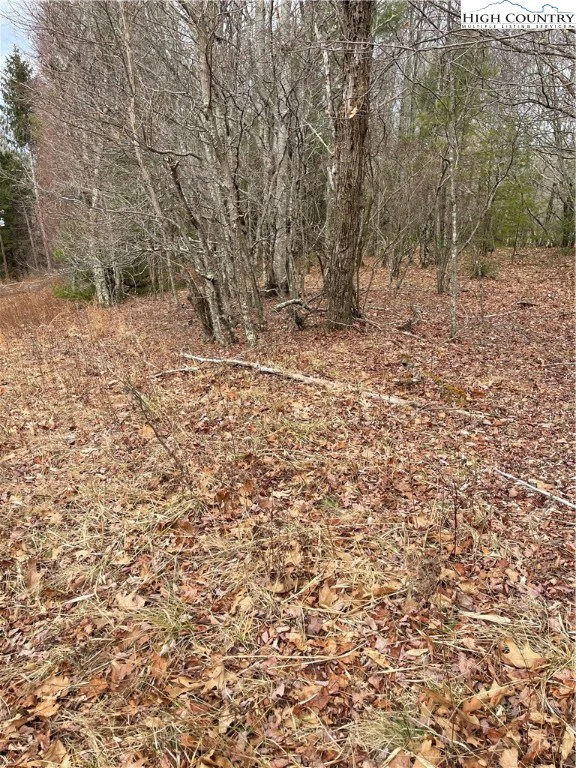 Image number 9 for the current listing