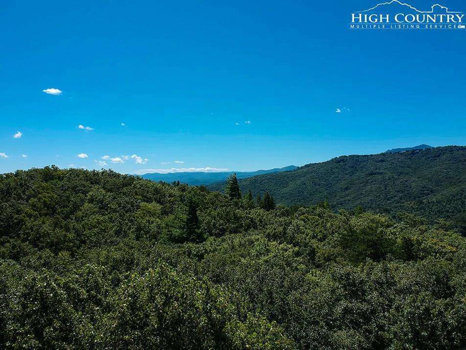 Image number 1 for the current listing