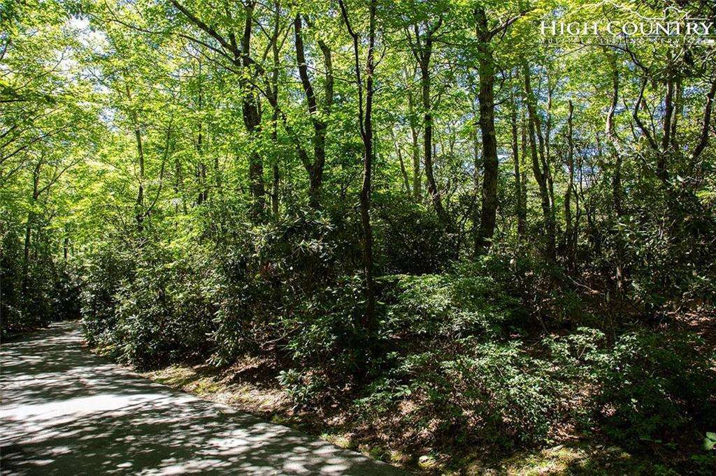 Image number 11 for the current listing
