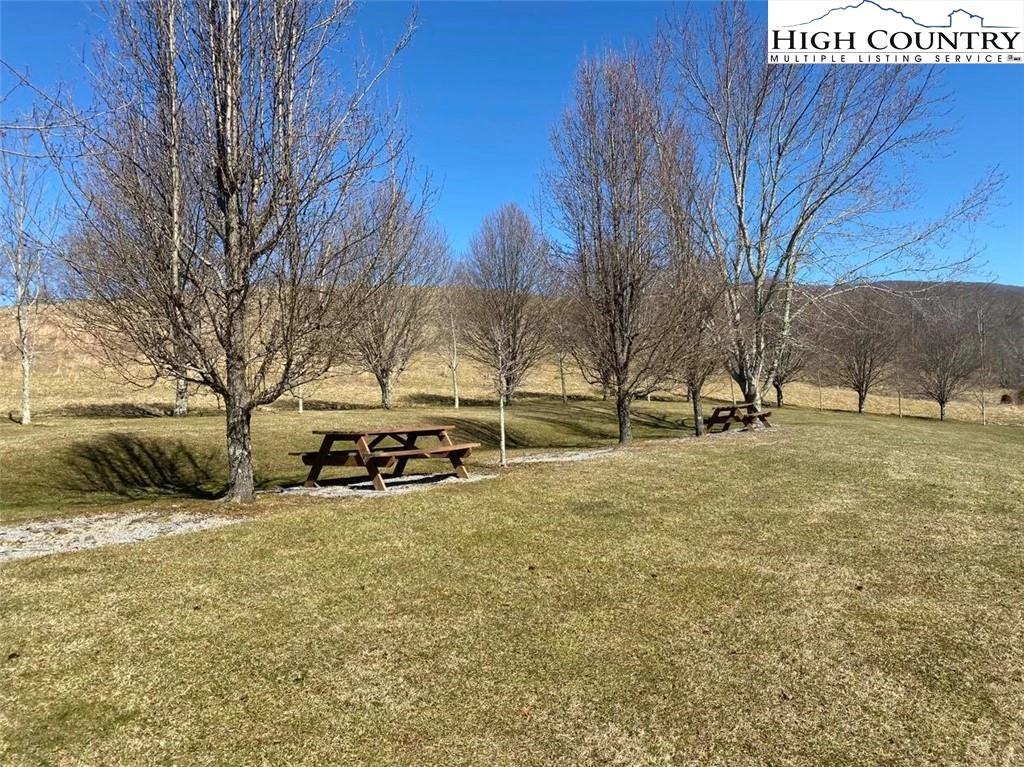 Image number 10 for the current listing