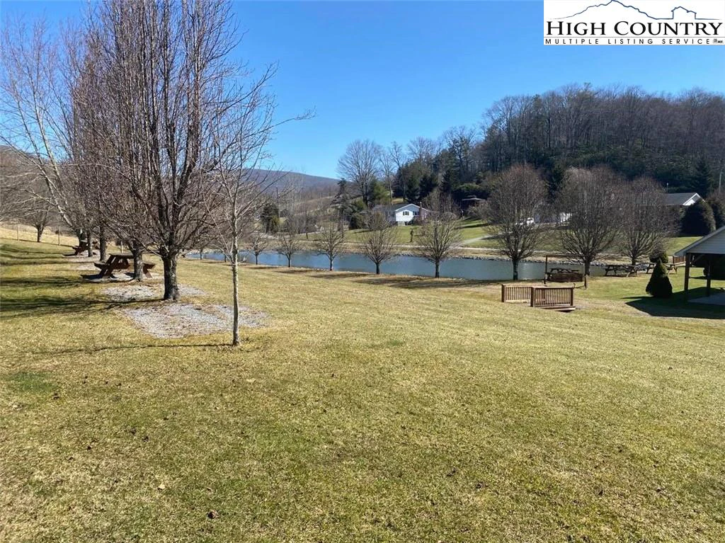 Image number 13 for the current listing