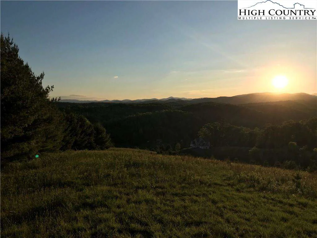 Image number 1 for the current listing