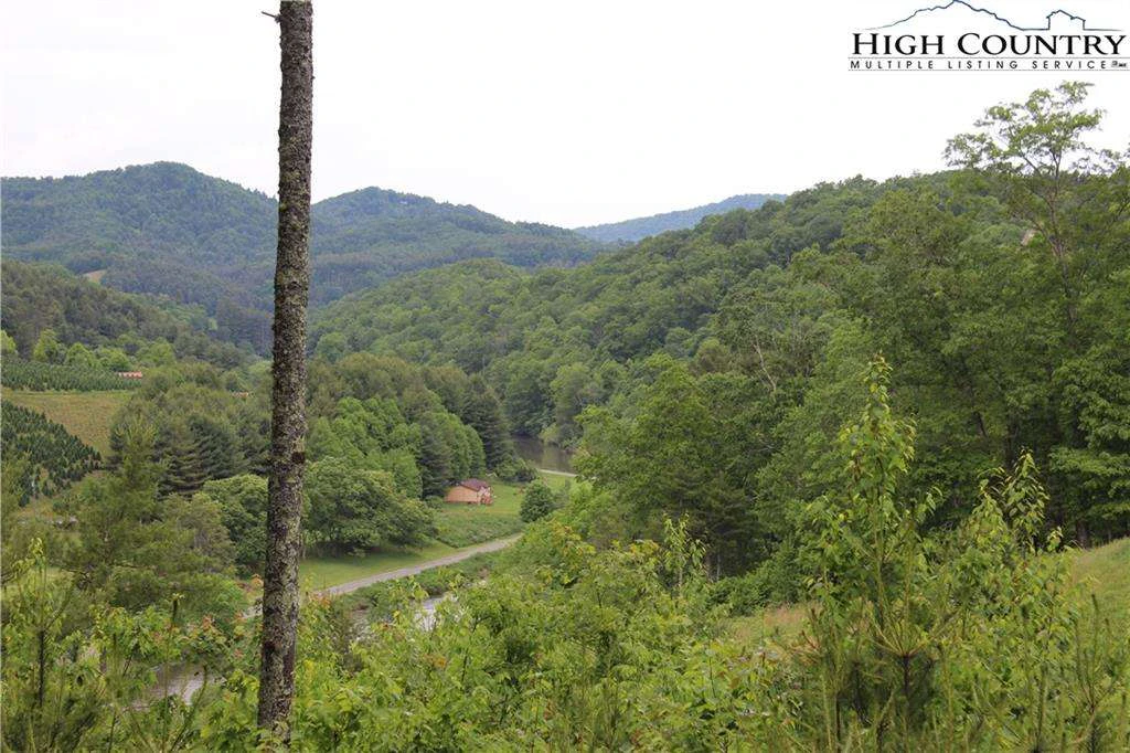 Image number 5 for the current listing