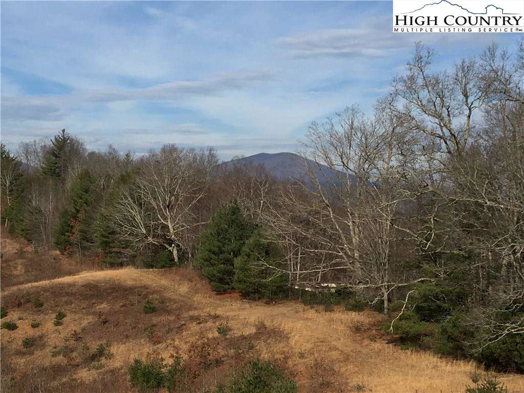 Image number 16 for the current listing