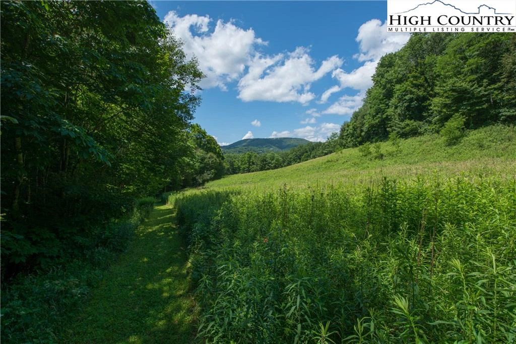Image number 11 for the current listing