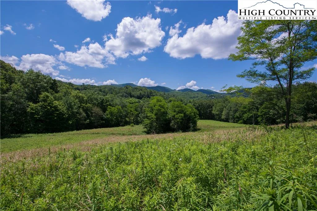 Image number 12 for the current listing