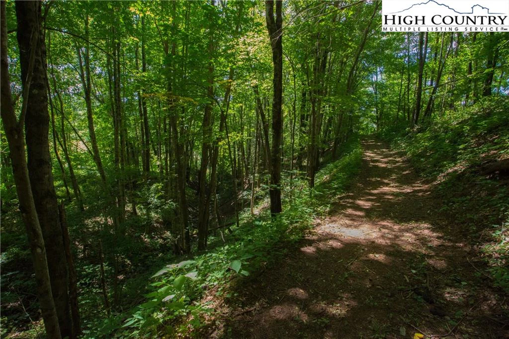 Image number 13 for the current listing
