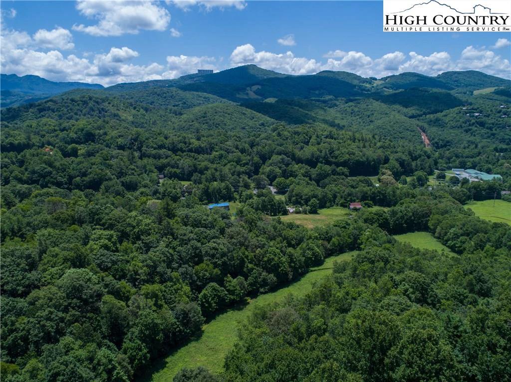 Image number 4 for the current listing