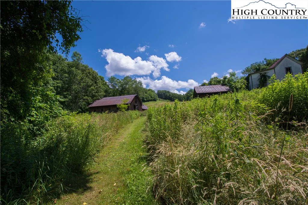 Image number 9 for the current listing