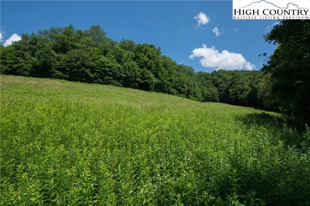 Image number 10 for the current listing