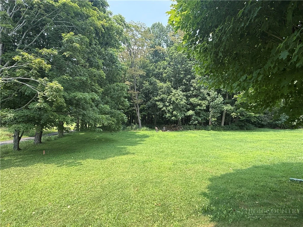 Image number 1 for the current listing