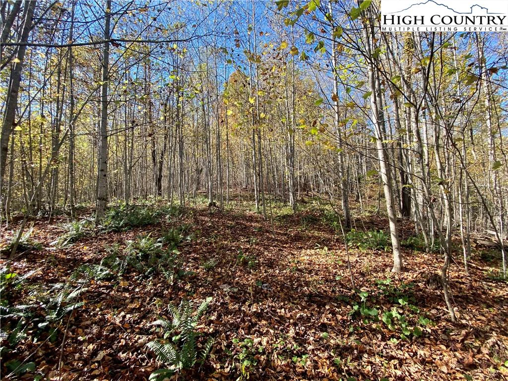 Image number 9 for the current listing