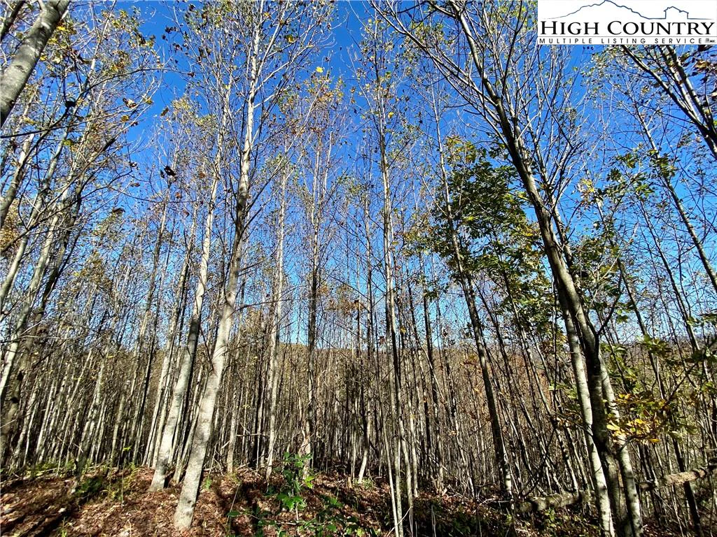 Image number 7 for the current listing