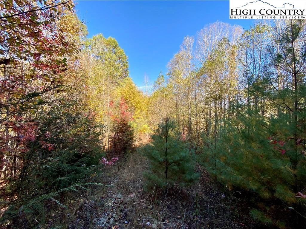 Image number 4 for the current listing