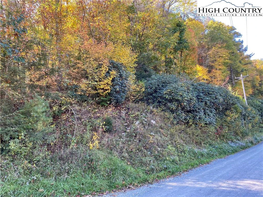 Image number 13 for the current listing