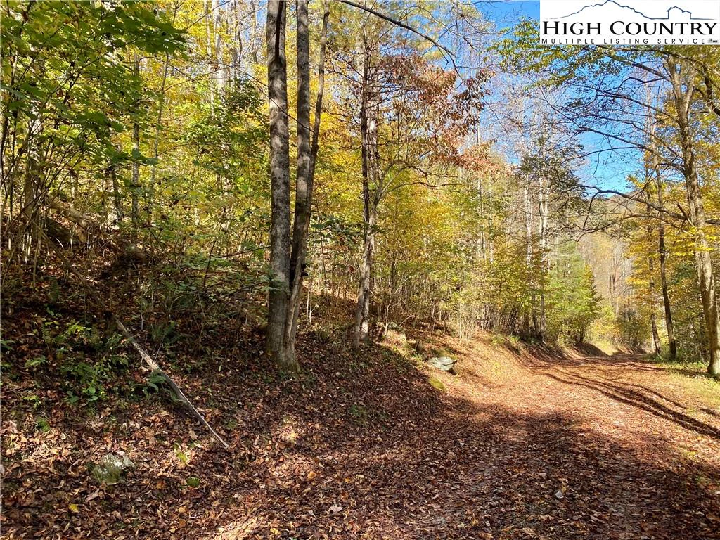 Image number 11 for the current listing