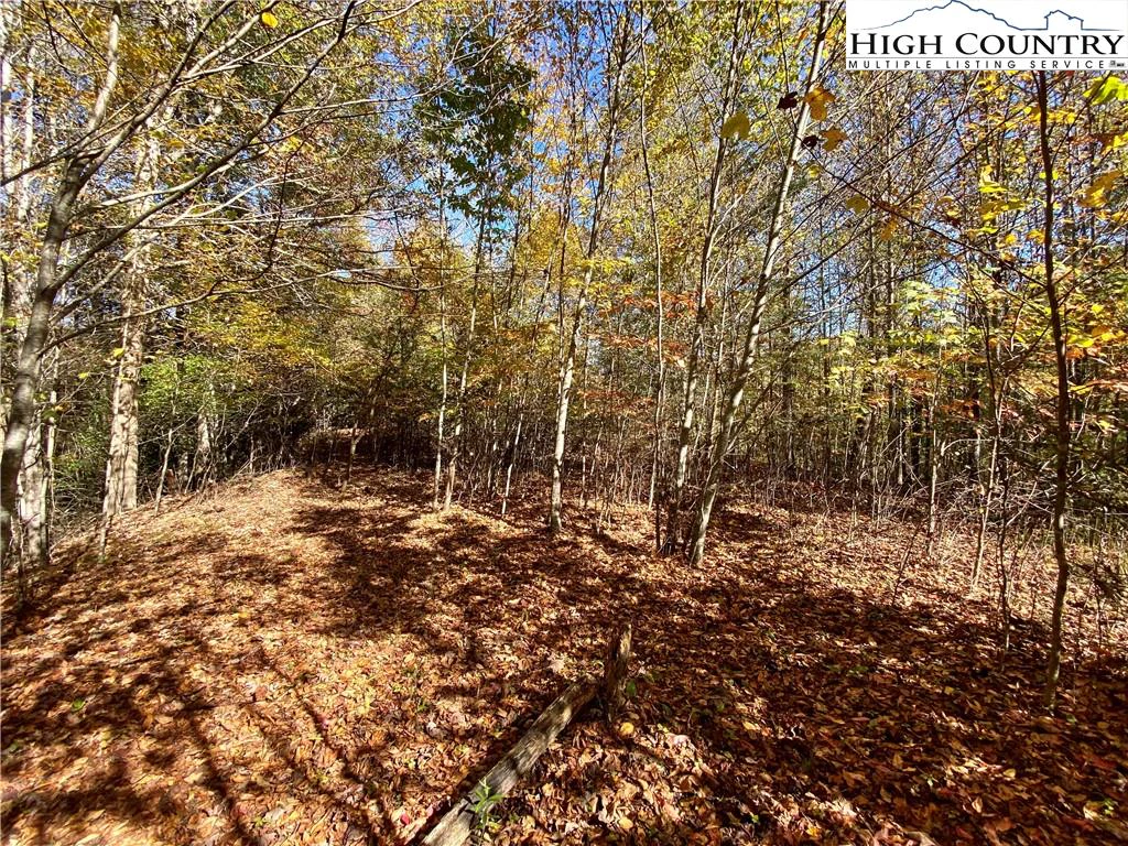 Image number 2 for the current listing
