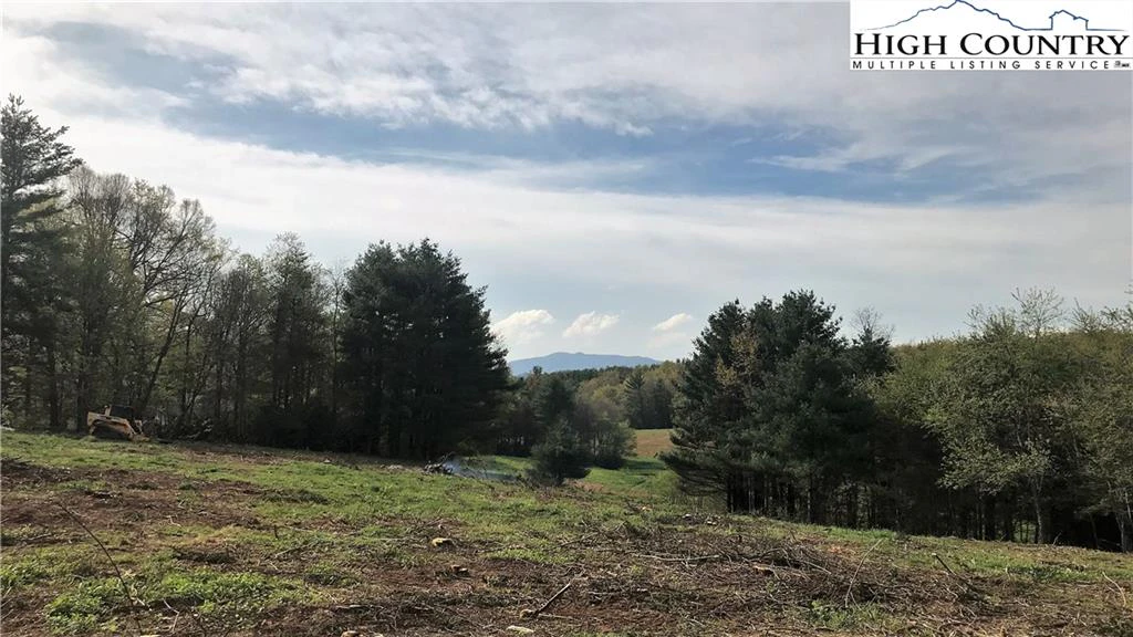 Image number 1 for the current listing
