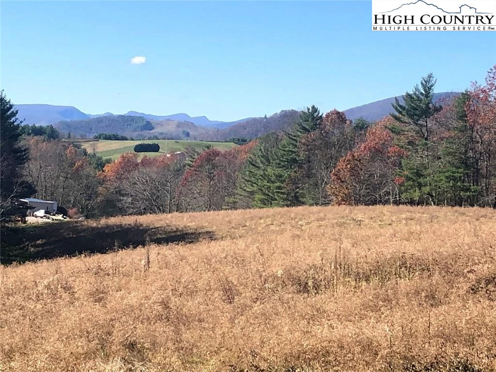 Image number 1 for the current listing