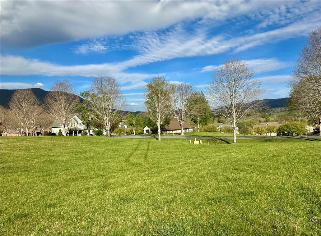 Image number 1 for the current listing