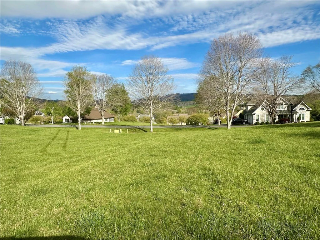 Image number 4 for the current listing
